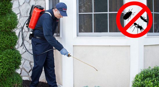 Sultandağı Böcek ve Haşere İlaçlama böcek ilaçlama ve haşere kontrolü — ilaclama-tr.com